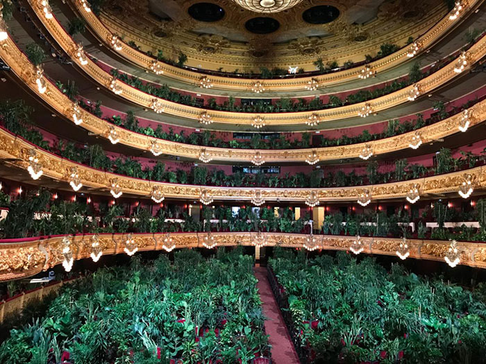 Barcelona Opera House Reopens With A Performance In Front Of A Majestic Crowd Of 2,292 Plants
