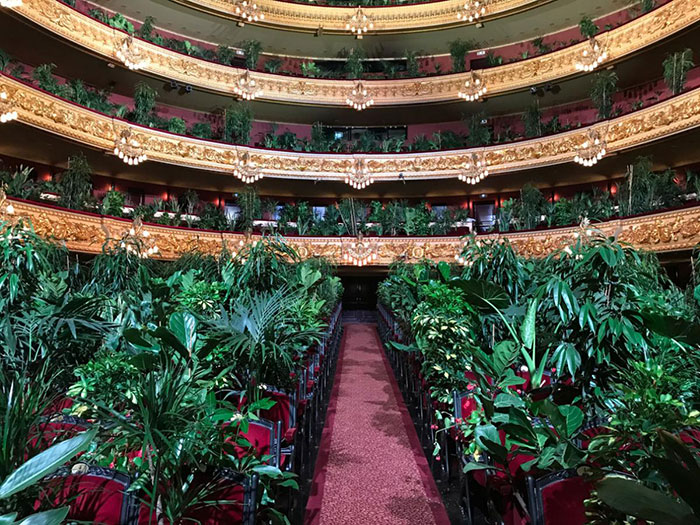 Barcelona Opera House Reopens With A Performance In Front Of A Majestic Crowd Of 2,292 Plants