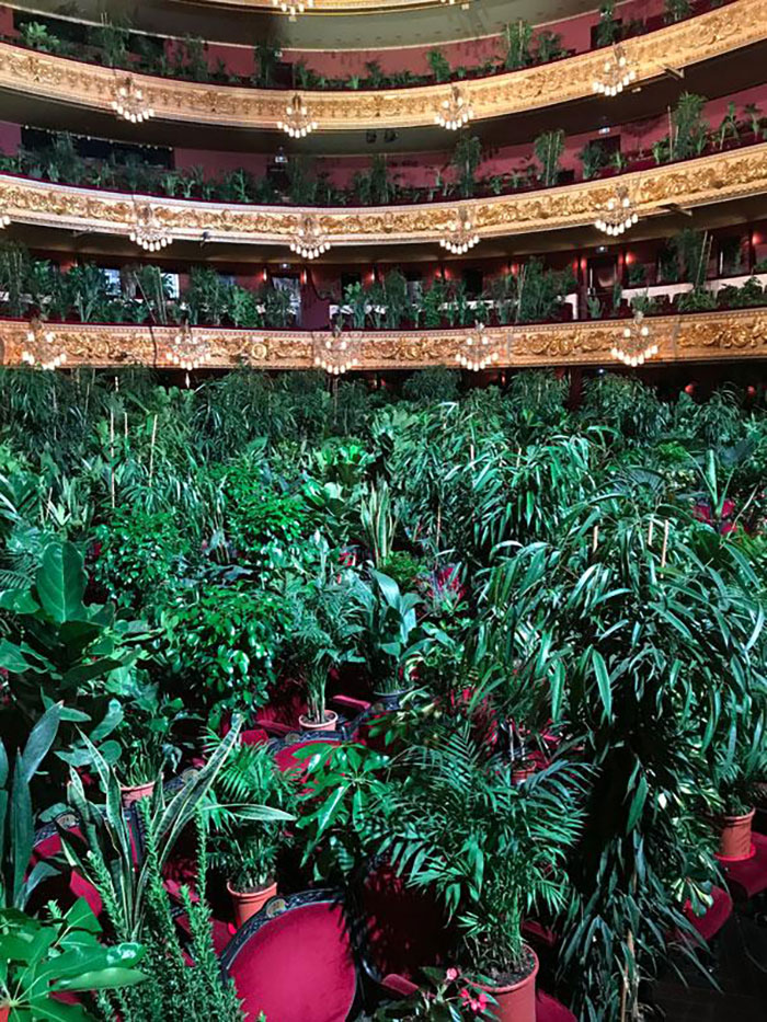 Barcelona Opera House Reopens With A Performance In Front Of A Majestic Crowd Of 2,292 Plants