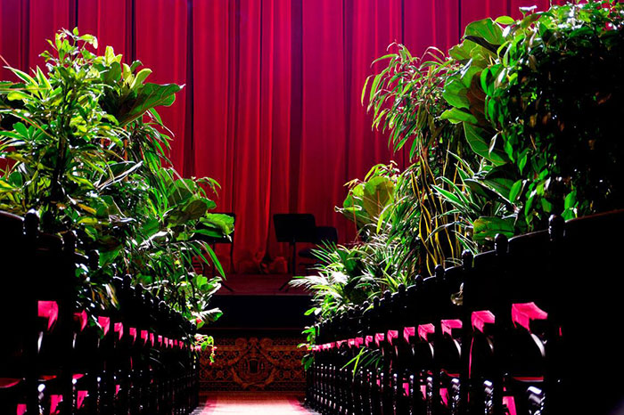 Barcelona Opera House Reopens With A Performance In Front Of A Majestic Crowd Of 2,292 Plants