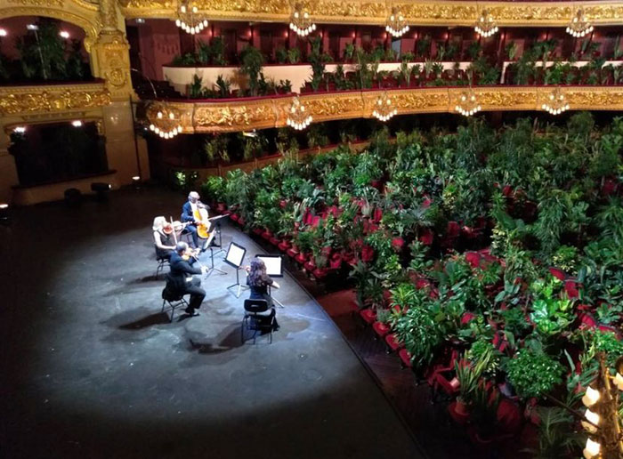 Barcelona Opera House Reopens With A Performance In Front Of A Majestic Crowd Of 2,292 Plants