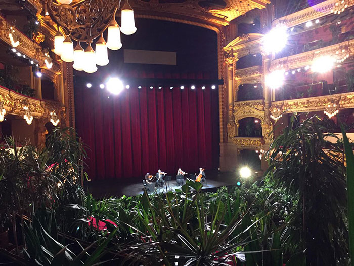 Barcelona Opera House Reopens With A Performance In Front Of A Majestic Crowd Of 2,292 Plants