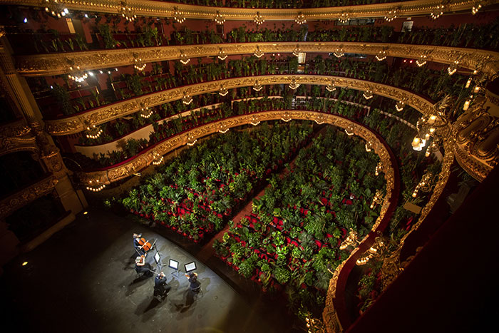 Barcelona Opera House Reopens With A Performance In Front Of A Majestic Crowd Of 2,292 Plants
