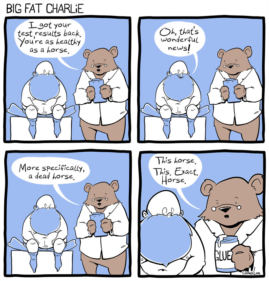 13 Comics About Being Fat, Having Diabetes, And A Cat
