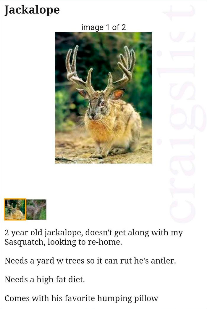 Keep Louisville Weird