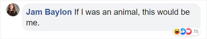 Comment by Jam Baylon with humorous remark about being an animal.