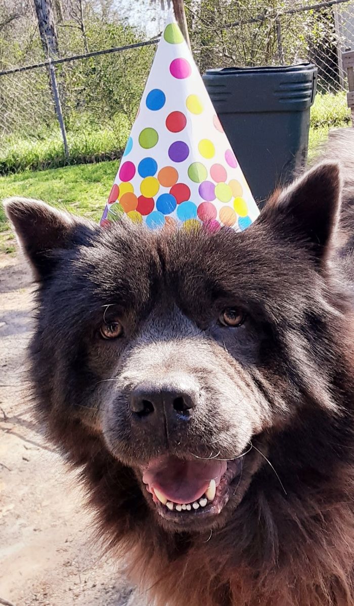 He Loves Kids And Wants Them All Around Him All The Time!!