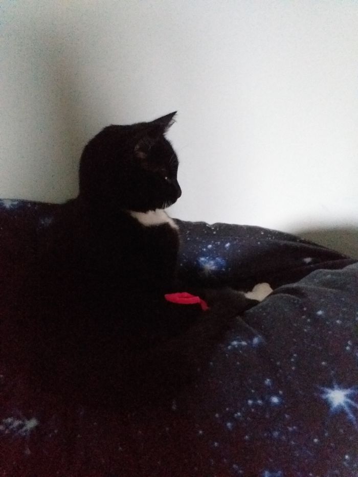 She Is Fast Asleep, Until I Say Tune. She Sat Bolt Upright