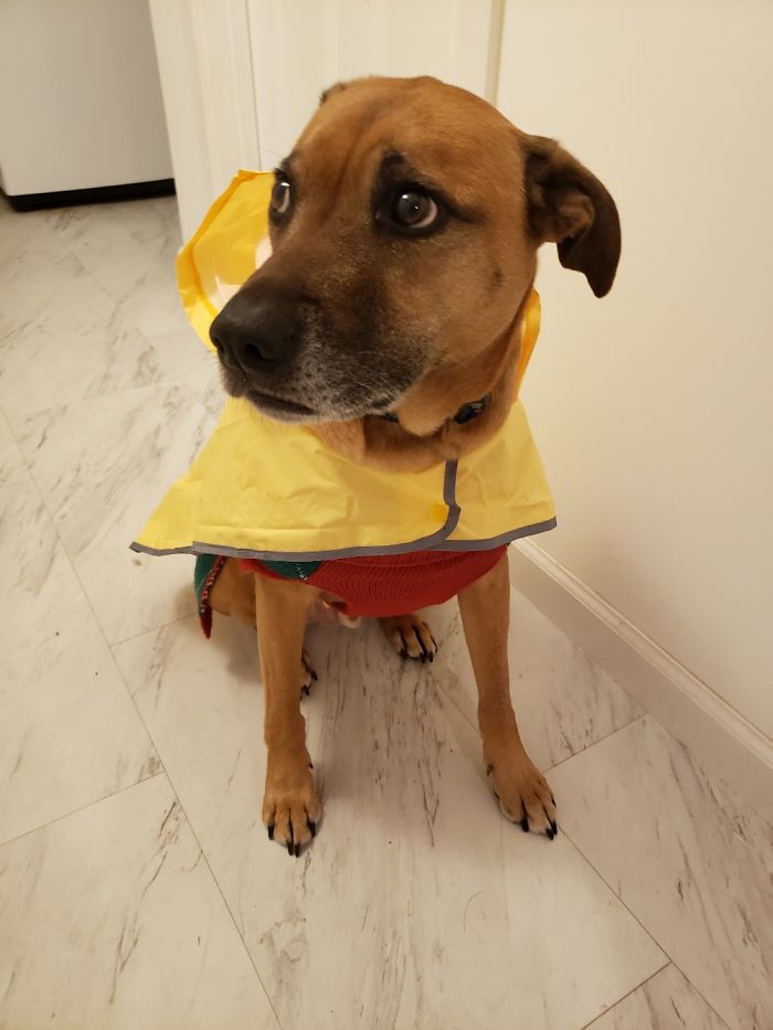 So Embarrassing, Mom🙄