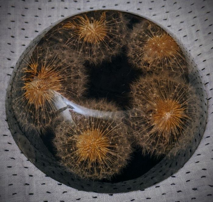 Dome Shaped Paperweight That Has Perfectly Preserved Fairy Kisses Trapped Within Its Resin Body