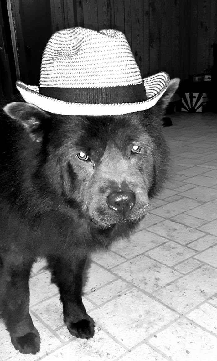 Names Cleveland. Hes In A Jazz Band