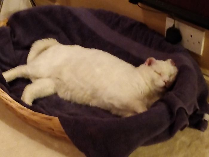 Last Time I Do Shots