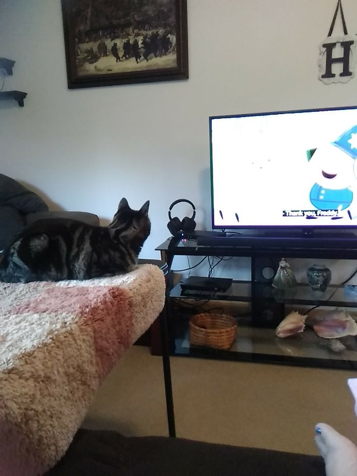 Leeloo's Favorite Shows Are Peppa Pig And Game Of Thrones