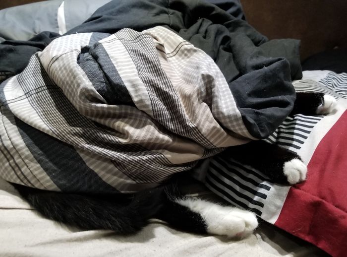 My Silly Boy Has A Wonderful Hiding Spot!