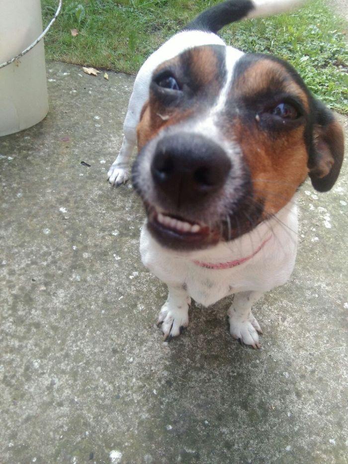 High On Life. My Rescue Baby Olga