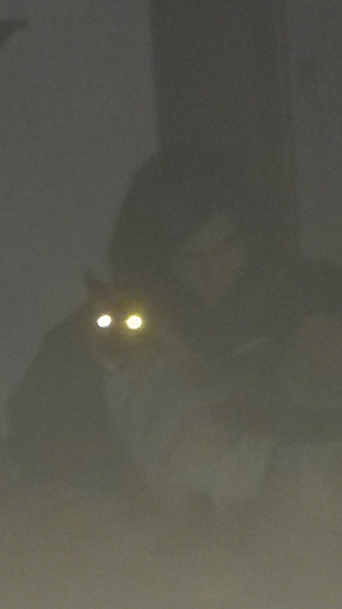 Supreme Demonic Energy