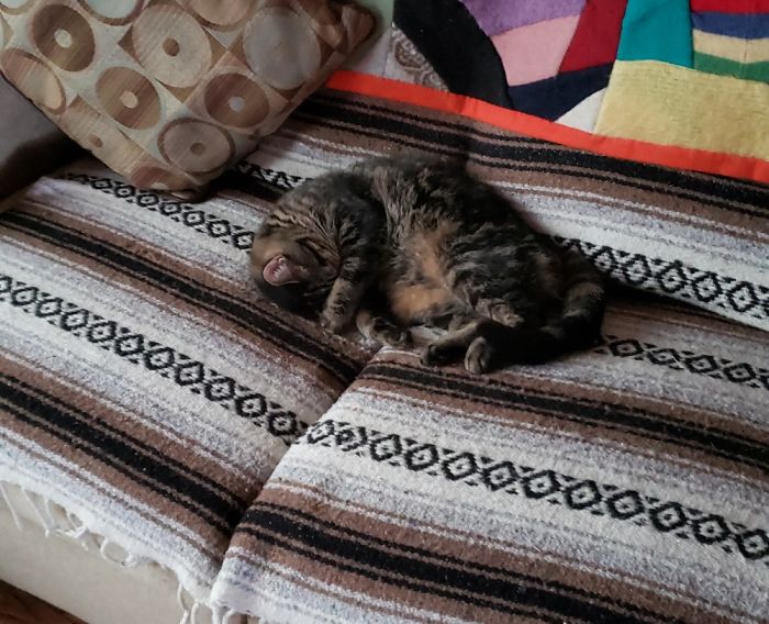 Super Cute When Sleeping!! Lol