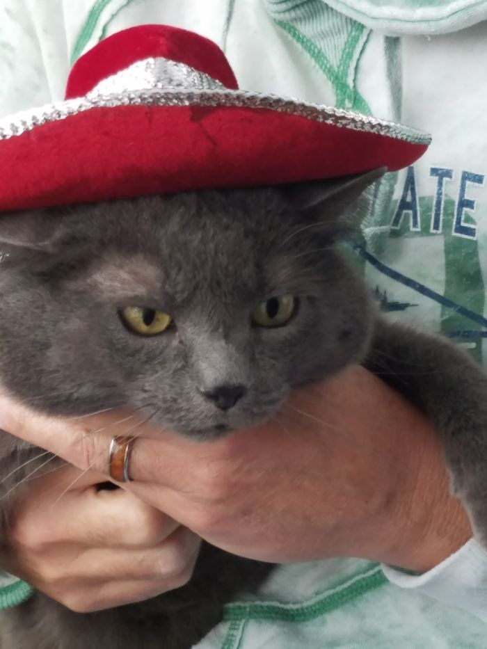 Lets Just Say It Was Not His Favorite