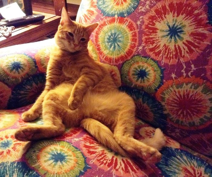 Calvin Likes To Flaunt His (Missing) Stuff!