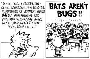 calvinhobbes_bats-5ee83681d0f72.jpg