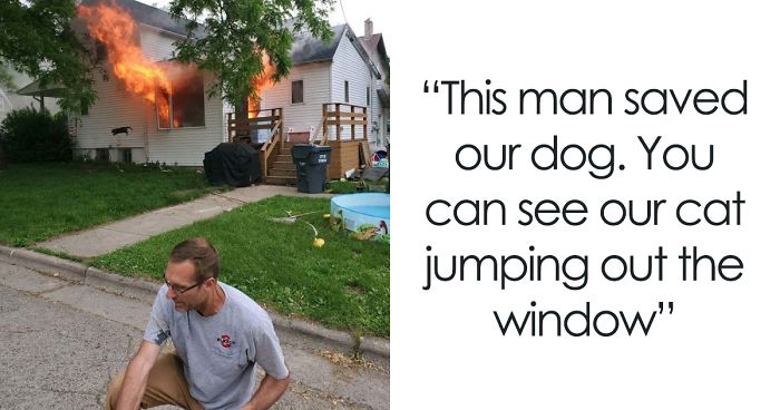 50 Of The Best Cat Posts That Are Impossible Not To Scroll Through (New Pics)