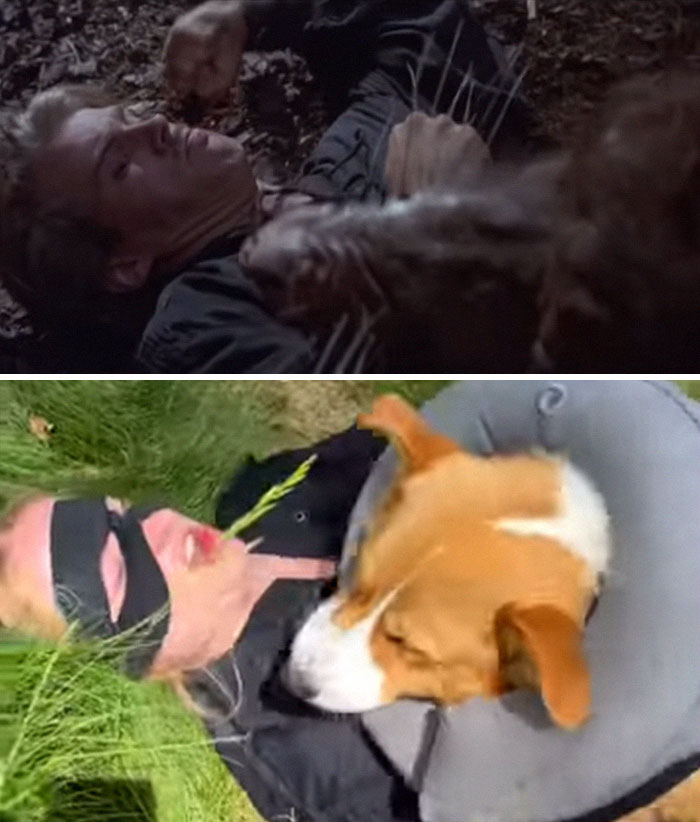 Bored Celebs Recreate 'The Princess Bride' While In Lockdown, And People Say It's Awesome Bored Celebs Recreate 'The Princess Bride' While In Lockdown, And People Say It's Awesome