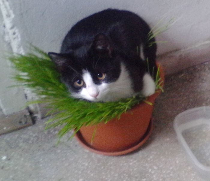 Meet Maricel! Nesting?