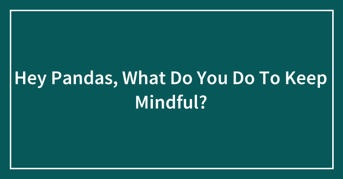 Hey Pandas, What Do You Do To Keep Mindful? (Closed)