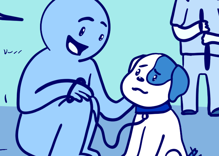 My Dog’s Knee Surgery—Life In Blue