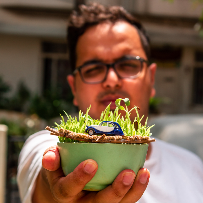 I Built A Bridge To Nowhere