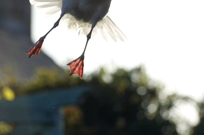 I Hope This Meets With Everyones Disapproval. And There's Plenty More Where This Crap Came From