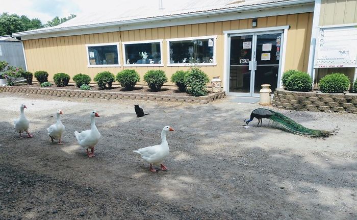 Can Someone Please Explain What Is Going On Here