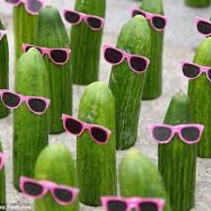 lillianjohansson avatar