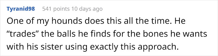 Dog Owner Witnesses Peculiar Behavior At The Dog Park, Asks The Internet If His Dog Just Lied To Another Dog