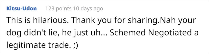 Dog Owner Witnesses Peculiar Behavior At The Dog Park, Asks The Internet If His Dog Just Lied To Another Dog