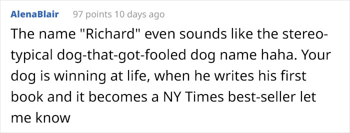 Dog Owner Witnesses Peculiar Behavior At The Dog Park, Asks The Internet If His Dog Just Lied To Another Dog Dog Owner Witnesses Peculiar Behavior At The Dog Park, Asks The Internet If His Dog Just Lied To Another Dog