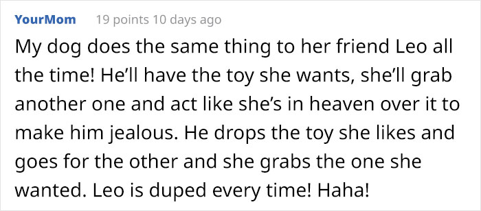 Dog Owner Witnesses Peculiar Behavior At The Dog Park, Asks The Internet If His Dog Just Lied To Another Dog Dog Owner Witnesses Peculiar Behavior At The Dog Park, Asks The Internet If His Dog Just Lied To Another Dog