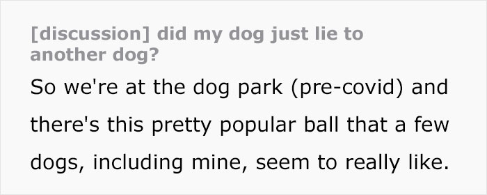 Dog Owner Witnesses Peculiar Behavior At The Dog Park, Asks The Internet If His Dog Just Lied To Another Dog Dog Owner Witnesses Peculiar Behavior At The Dog Park, Asks The Internet If His Dog Just Lied To Another Dog