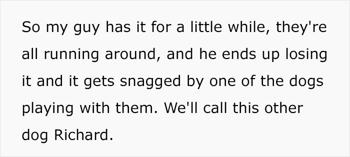 Dog Owner Witnesses Peculiar Behavior At The Dog Park, Asks The Internet If His Dog Just Lied To Another Dog