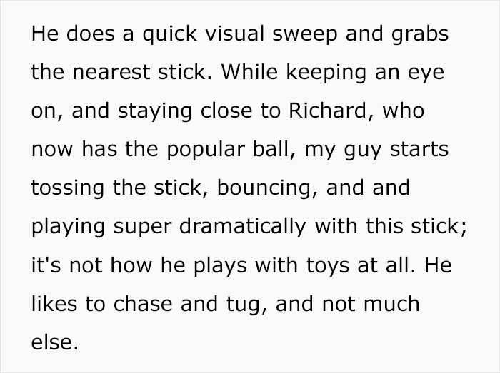 Dog Owner Witnesses Peculiar Behavior At The Dog Park, Asks The Internet If His Dog Just Lied To Another Dog