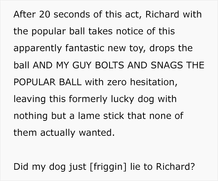 Dog Owner Witnesses Peculiar Behavior At The Dog Park, Asks The Internet If His Dog Just Lied To Another Dog Dog Owner Witnesses Peculiar Behavior At The Dog Park, Asks The Internet If His Dog Just Lied To Another Dog