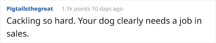 Dog Owner Witnesses Peculiar Behavior At The Dog Park, Asks The Internet If His Dog Just Lied To Another Dog