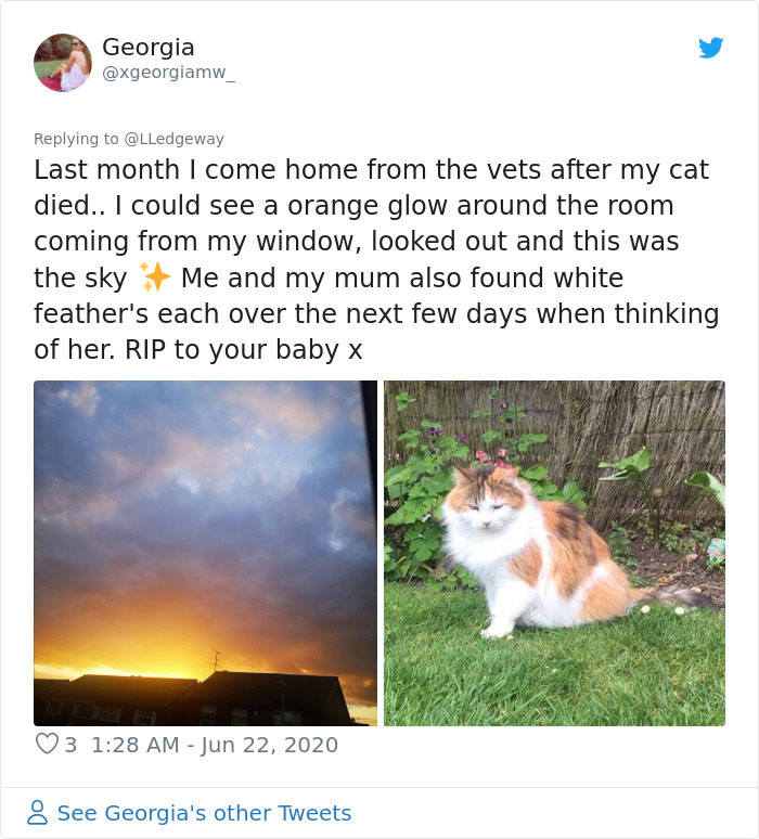Woman Sees 'Her Dog' In The Sky A Few Hours After Her Death, Others Share Similar Pics And Stories Woman Sees 'Her Dog' In The Sky A Few Hours After Her Death, Others Share Similar Pics And Stories