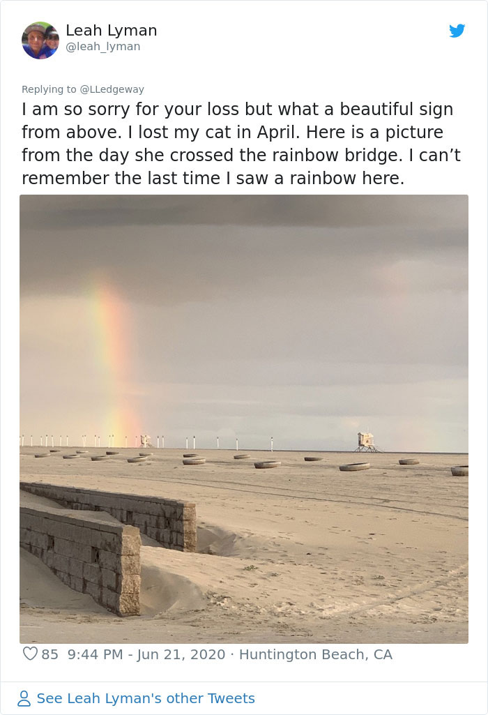 Woman Sees 'Her Dog' In The Sky A Few Hours After Her Death, Others Share Similar Pics And Stories