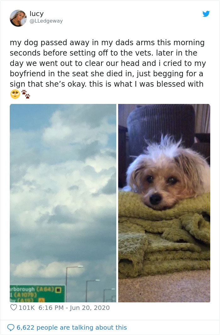 Woman Sees 'Her Dog' In The Sky A Few Hours After Her Death, Others Share Similar Pics And Stories Woman Sees 'Her Dog' In The Sky A Few Hours After Her Death, Others Share Similar Pics And Stories