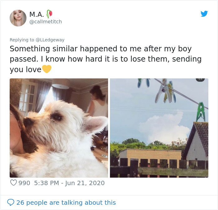 Woman Sees 'Her Dog' In The Sky A Few Hours After Her Death, Others Share Similar Pics And Stories