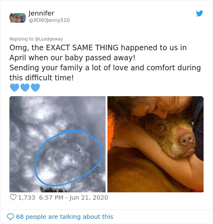Woman Sees 'Her Dog' In The Sky A Few Hours After Her Death, Others Share Similar Pics And Stories