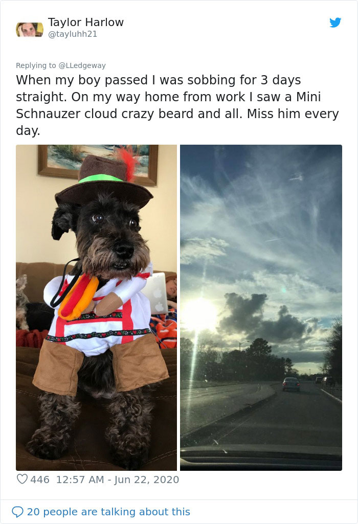 Woman Sees 'Her Dog' In The Sky A Few Hours After Her Death, Others Share Similar Pics And Stories Woman Sees 'Her Dog' In The Sky A Few Hours After Her Death, Others Share Similar Pics And Stories