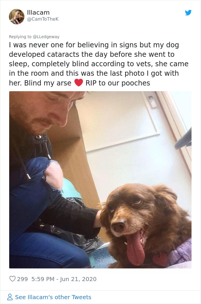 Woman Sees 'Her Dog' In The Sky A Few Hours After Her Death, Others Share Similar Pics And Stories Woman Sees 'Her Dog' In The Sky A Few Hours After Her Death, Others Share Similar Pics And Stories