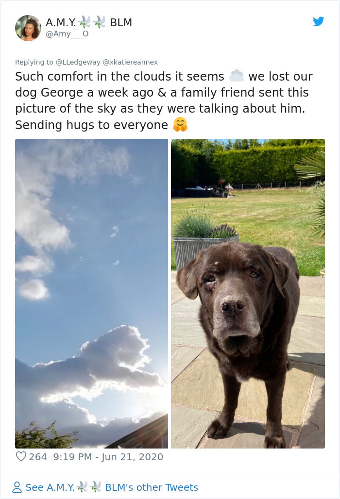 Woman Sees 'Her Dog' In The Sky A Few Hours After Her Death, Others Share Similar Pics And Stories Woman Sees 'Her Dog' In The Sky A Few Hours After Her Death, Others Share Similar Pics And Stories